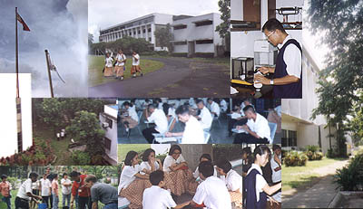 collage.jpg (37481 bytes)