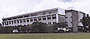 Diliman